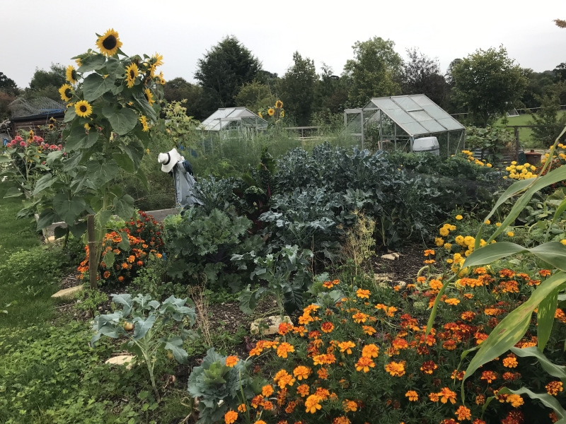 Blockley Allotments